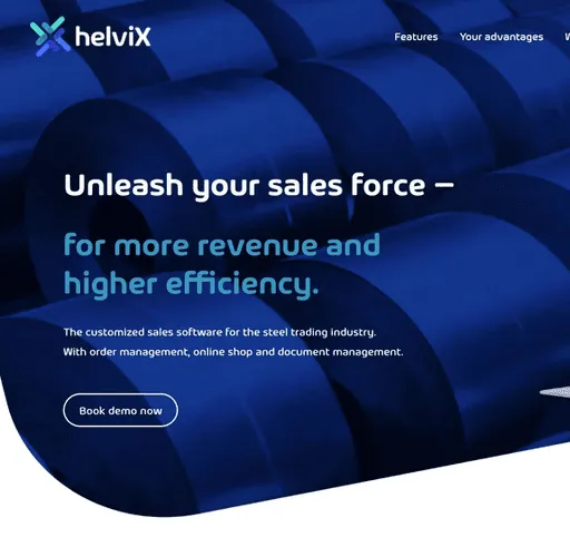 Screenshot of the HelviX project